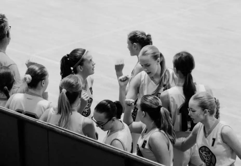 Také Lvice U15 postupují do extraligy!